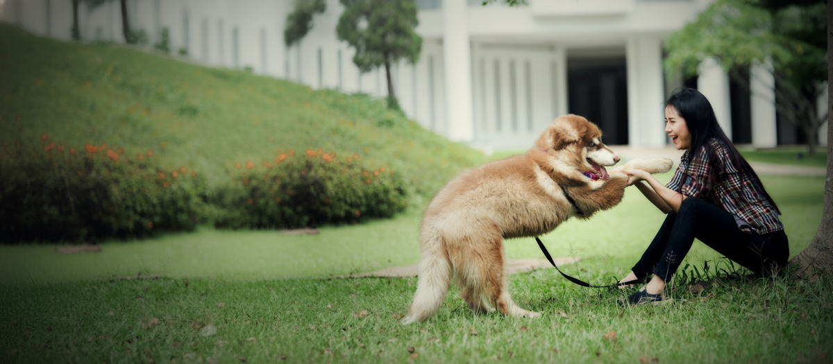 slider image 1621243260e1af0c20-0